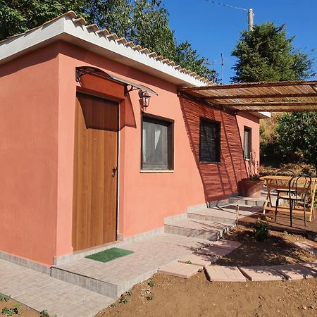 Azienda Agricola Sinisi Cerveteri Phòng bức ảnh