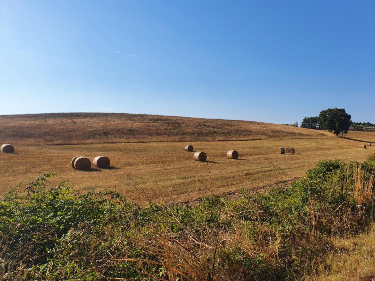 Azienda Agricola Sinisi Cerveteri Ngoại thất bức ảnh