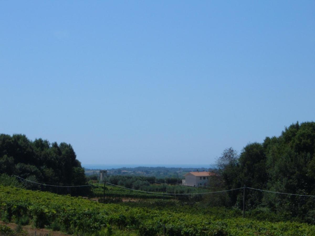 Azienda Agricola Sinisi Cerveteri Phòng bức ảnh