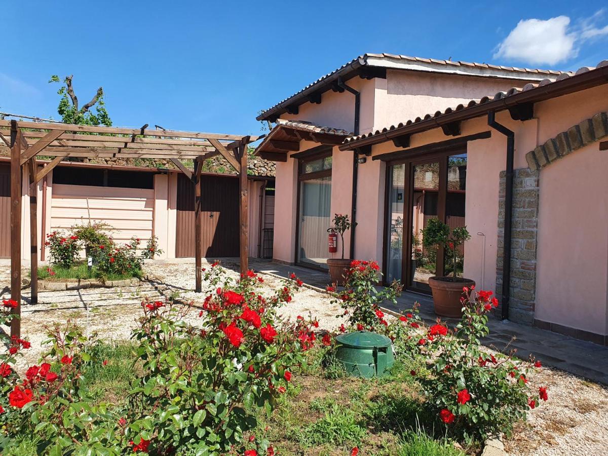 Azienda Agricola Sinisi Cerveteri Ngoại thất bức ảnh